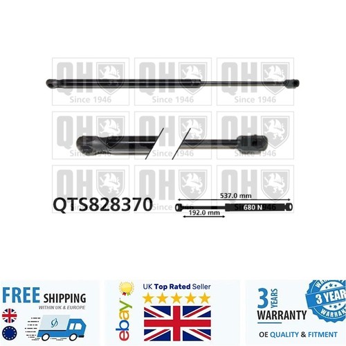 Cargo area gas spring for - for, ford