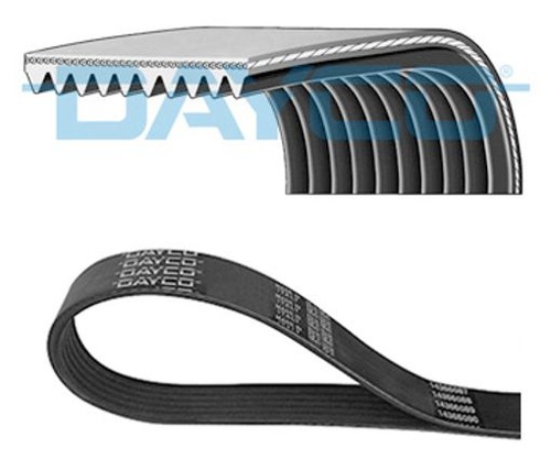Fits dayco 10pk1715hd ribbed - fits,