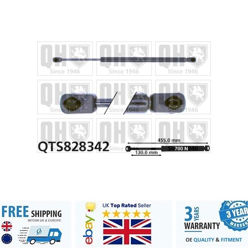 Cargo area gas spring for - cargo,